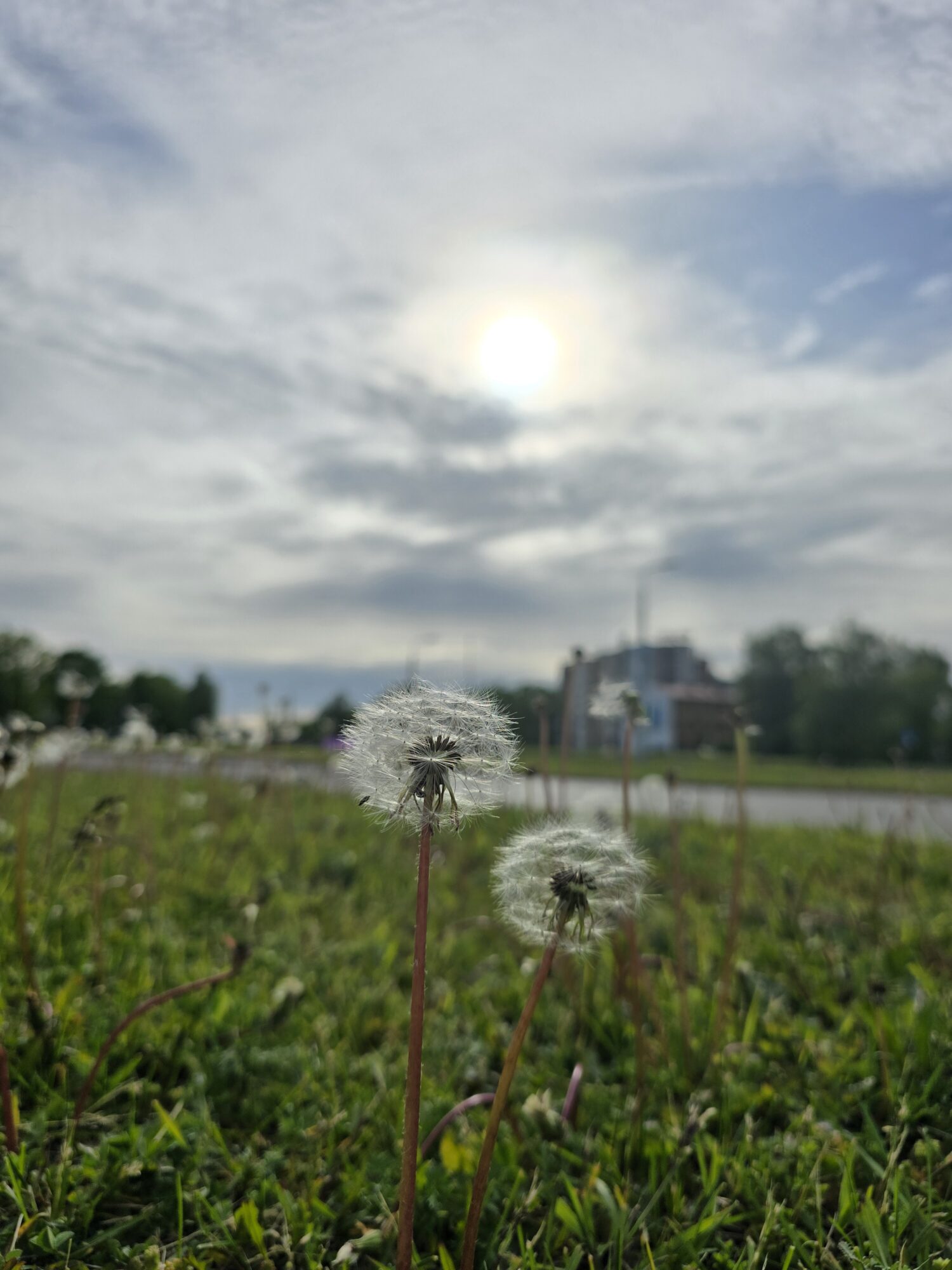 Sestdien pārsvarā spīdēs saule, vietām uzlīs