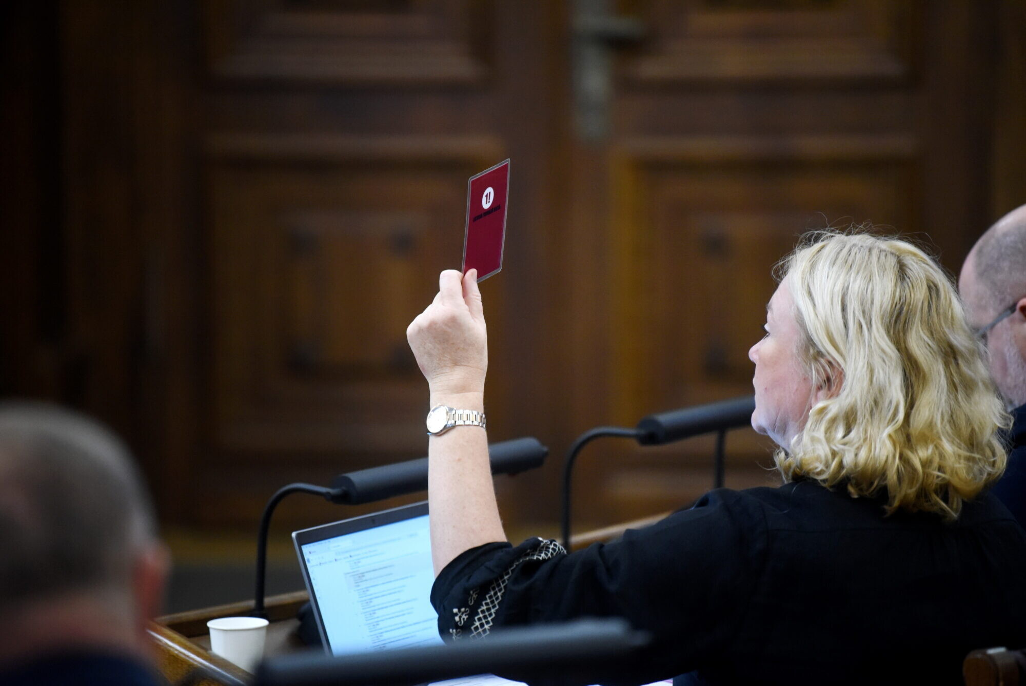 Saeima konceptuāli atbalsta izstāšanos no Stambulas konvencijas